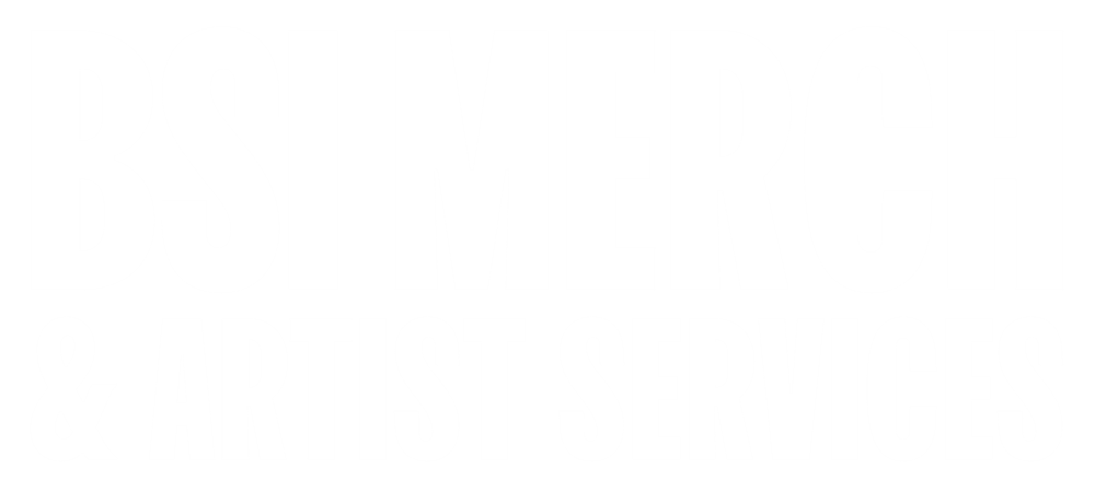 BSI Merch & Artist Services